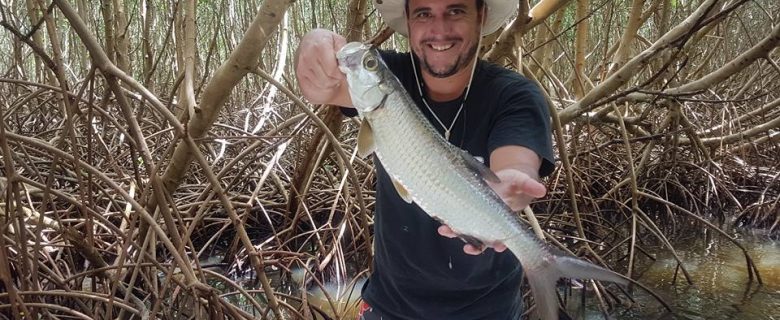 Babys Tarpons Guadeloupéens WATAFISH