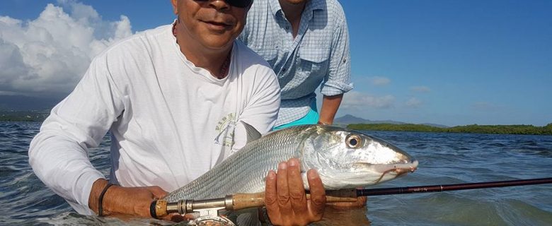 IGFA se met au Bonefish en Guadeloupe