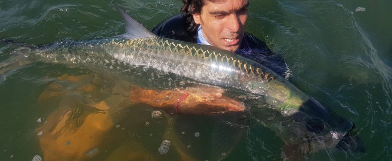 Joli Tarpon en pêche Light