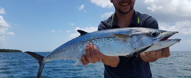 Guidage de pêche en Guadeloupe