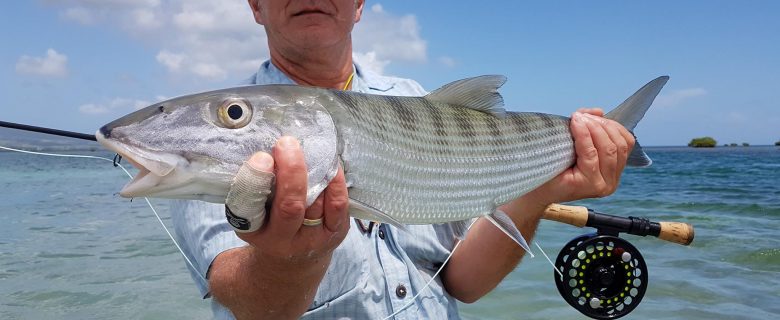 Fly Fishing en Guadeloupe à la recherche des gros BoneFish