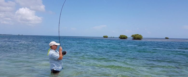 Fly Fishing / Pêche du Bonefish à la mouche en Guadeloupe