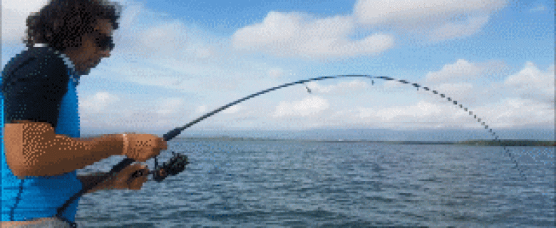 Gros Tarpon en Guadeloupe sur une canne light !