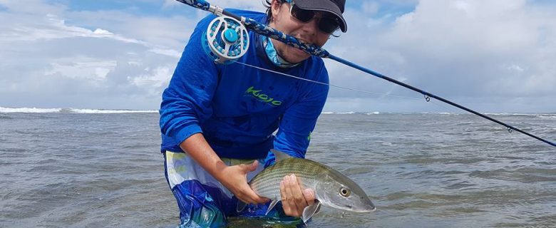 Bonefish à la mouche en Guadeloupe / Fly fishing in Guadeloupe