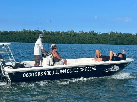 Bateau mangrove Guadeloupe